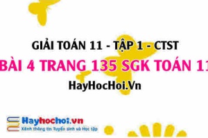 Giải bài 4 trang 135 Toán 11 tập 1 SGK Chân trời sáng tạo